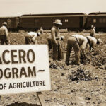 bracero