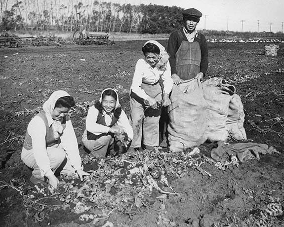 nipocad2 Traição no Pacífico? O Plano do Canadá para Exilar 22 mil Cidadãos e a Destruição da Comunidade Nikkei